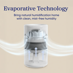 Levoit Superior™ Studio Smart Evaporative Humidifier