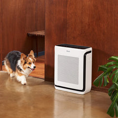 LEVOIT Vital 200S-P Air Purifier for Home, Pet Hair & Dander Control